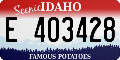 ID license plate E403428