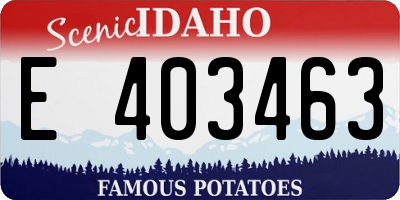 ID license plate E403463