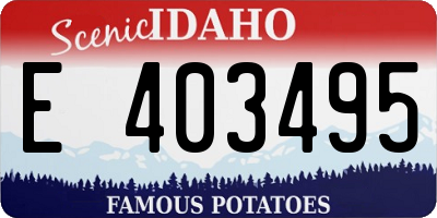 ID license plate E403495