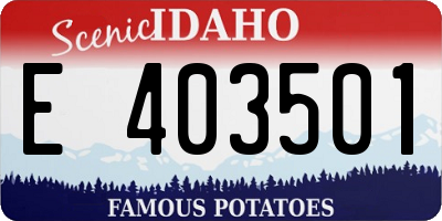 ID license plate E403501