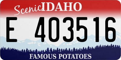 ID license plate E403516