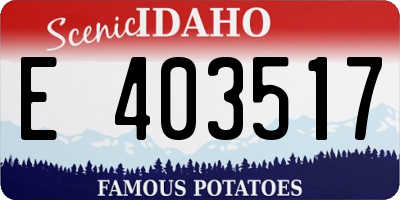 ID license plate E403517