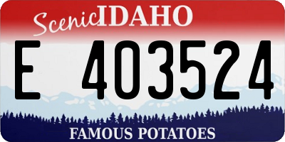 ID license plate E403524