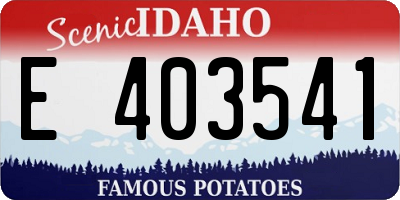 ID license plate E403541