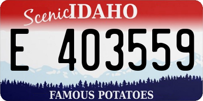 ID license plate E403559