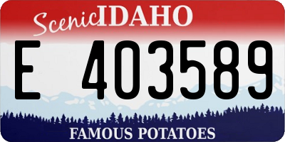 ID license plate E403589