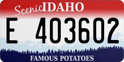 ID license plate E403602
