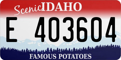 ID license plate E403604