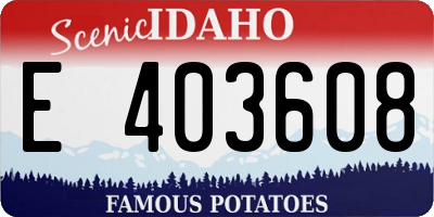 ID license plate E403608
