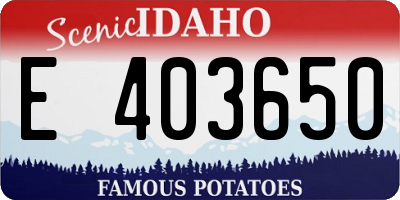 ID license plate E403650