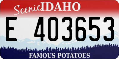ID license plate E403653