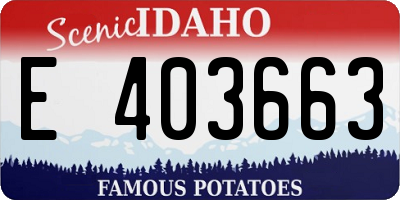 ID license plate E403663