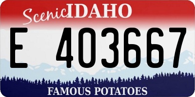 ID license plate E403667