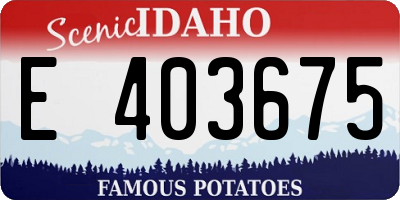 ID license plate E403675