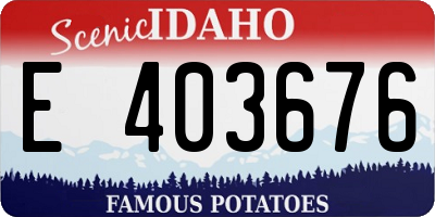 ID license plate E403676