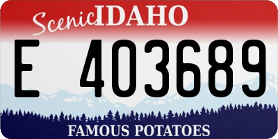 ID license plate E403689