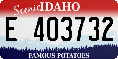 ID license plate E403732