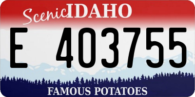 ID license plate E403755