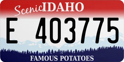 ID license plate E403775