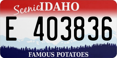ID license plate E403836