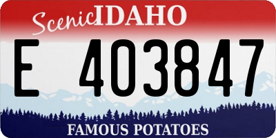 ID license plate E403847