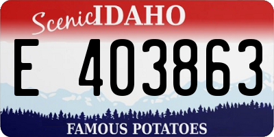ID license plate E403863