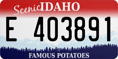 ID license plate E403891