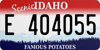 ID license plate E404055