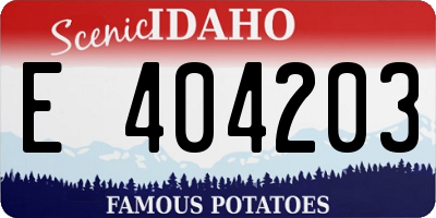 ID license plate E404203