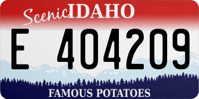 ID license plate E404209