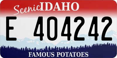 ID license plate E404242