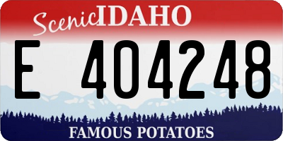 ID license plate E404248