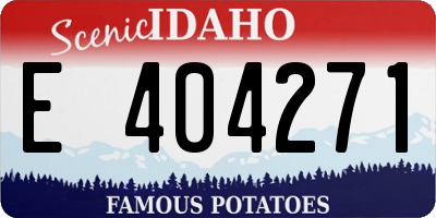 ID license plate E404271