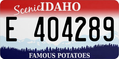 ID license plate E404289