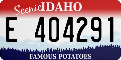 ID license plate E404291