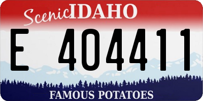 ID license plate E404411