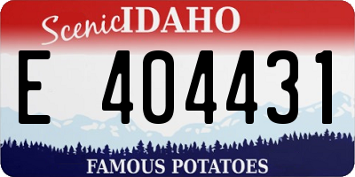 ID license plate E404431