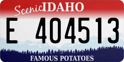 ID license plate E404513
