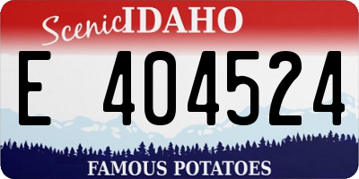 ID license plate E404524