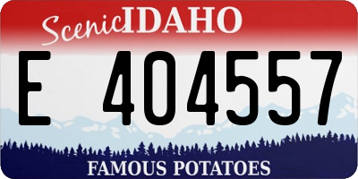 ID license plate E404557