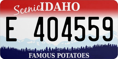 ID license plate E404559