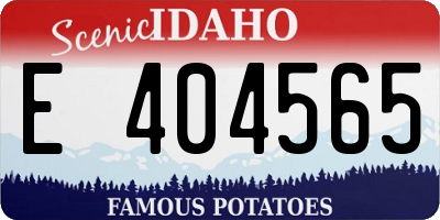 ID license plate E404565