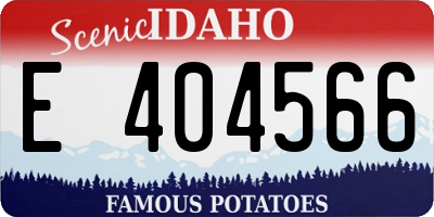 ID license plate E404566
