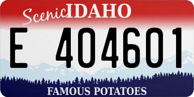 ID license plate E404601