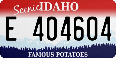 ID license plate E404604