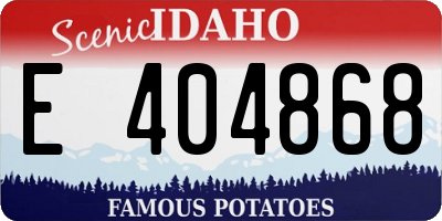 ID license plate E404868