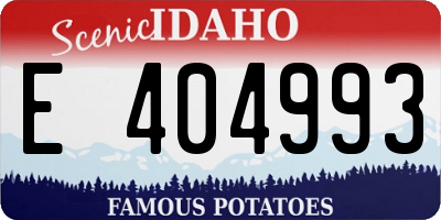 ID license plate E404993