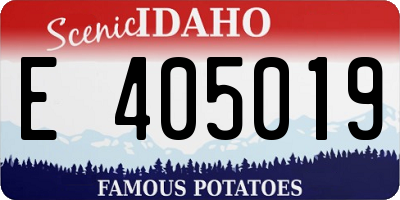 ID license plate E405019