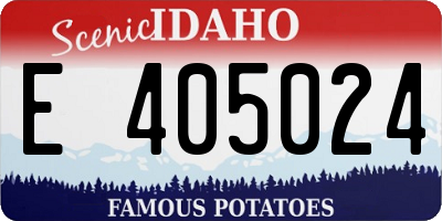 ID license plate E405024