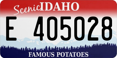 ID license plate E405028